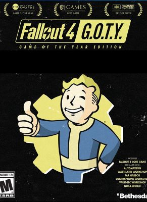 Obal hry Fallout 4 (Game of the Year Edition) 