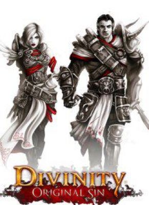 Obal hry Divinity: Original Sin Enhanced Edition
