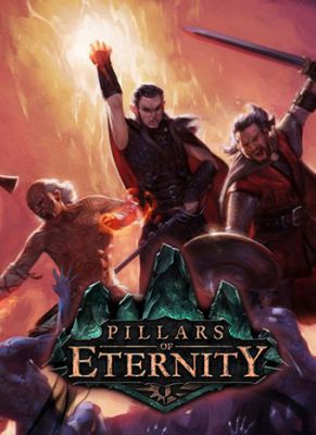 Obal hry Pillars of Eternity Hero Edition